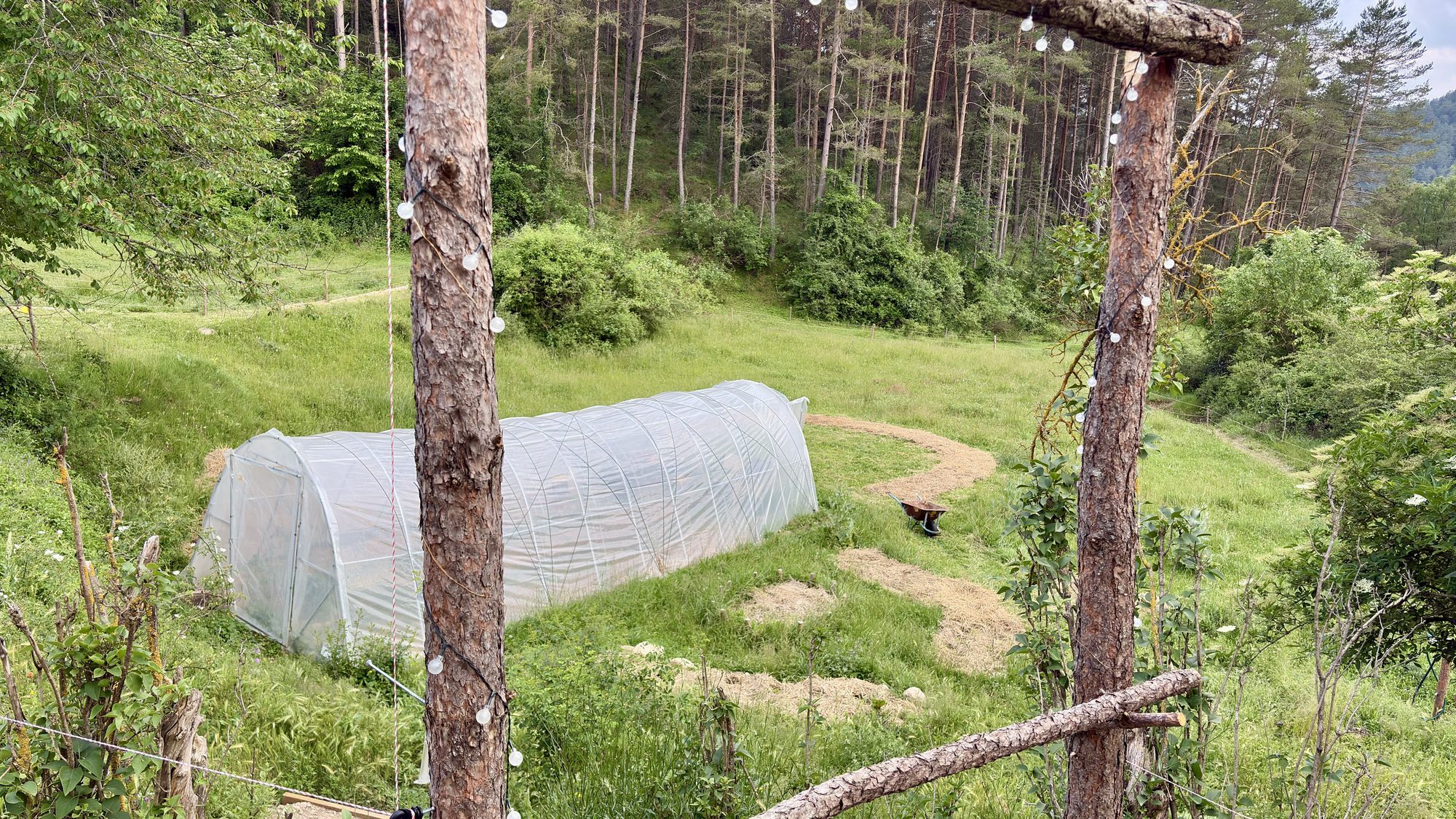 L'hort de Cal Niu al Berguedà