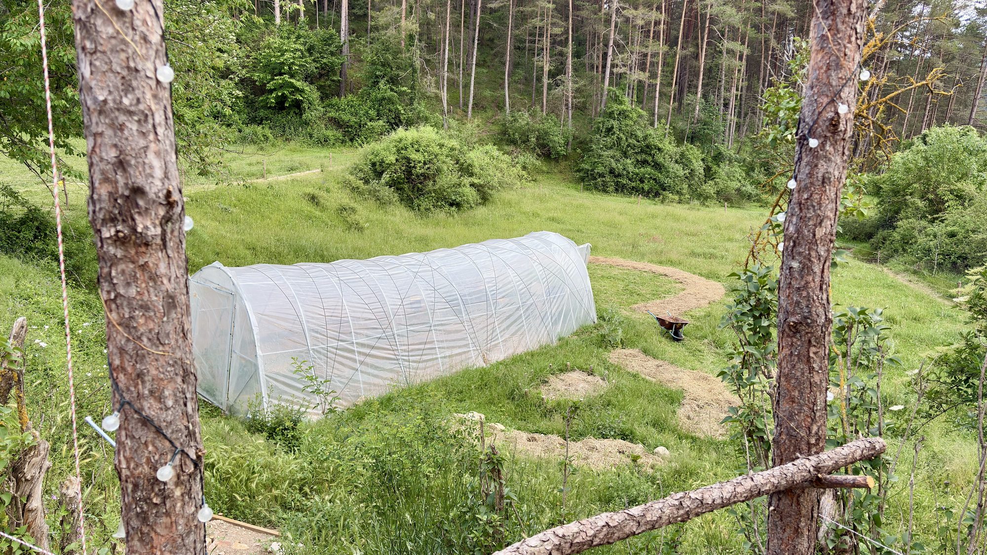 L'hort i el paisatge del Berguedà